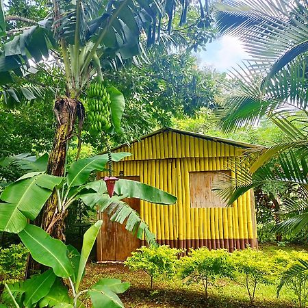 Cabanas Ixaya Catemaco Eksteriør bilde