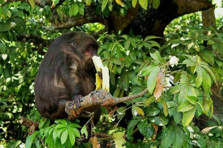 Cabanas Ixaya Catemaco Eksteriør bilde